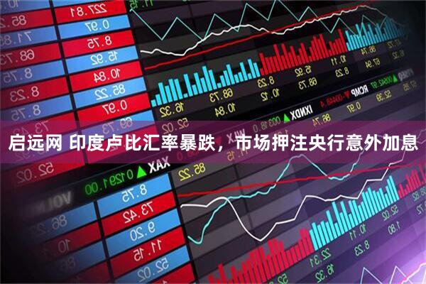 启远网 印度卢比汇率暴跌,市场押注央行意外加息