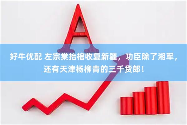 好牛优配 左宗棠抬棺收复新疆,功臣除了湘军,还有天津杨柳青的三千货郎!