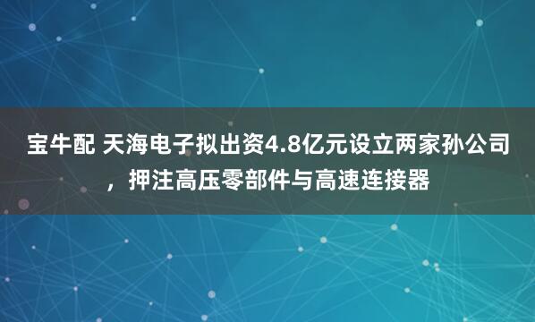宝牛配 天海电子拟出资4.8亿元设立两家孙公司，押注高压零部件与高速连接器